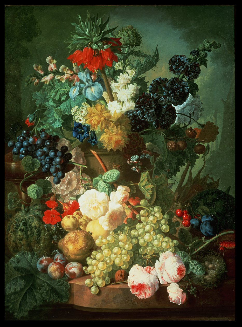 Imagem desconhecida de Jan van Os