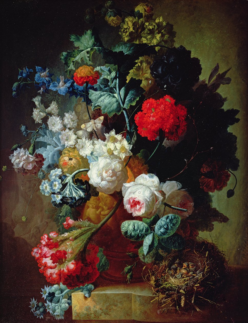 Imagem desconhecida de Jan van Os