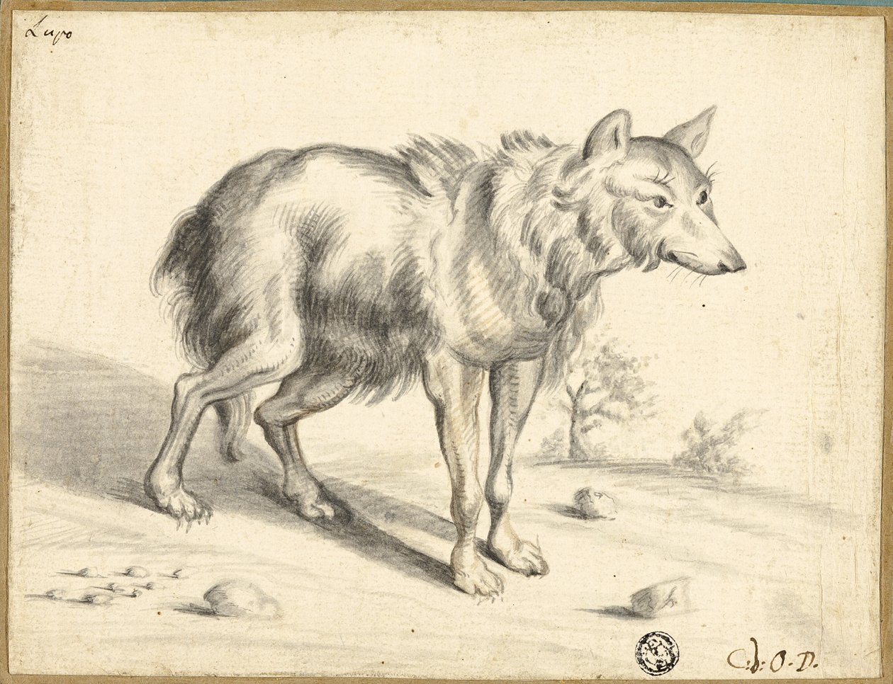 Loba de Jan van Os