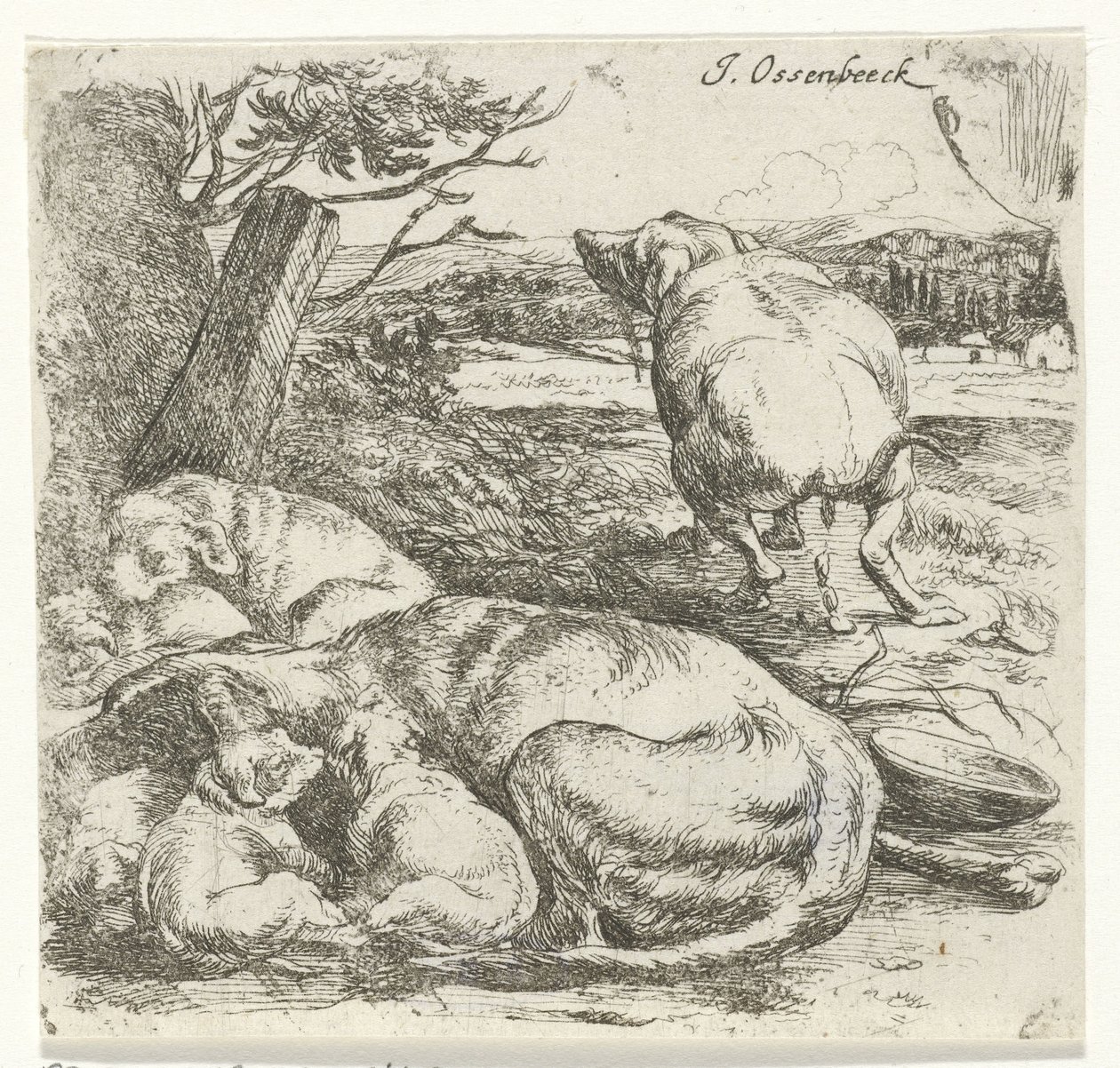 Fêmea com cachorros de Jan van Ossenbeeck