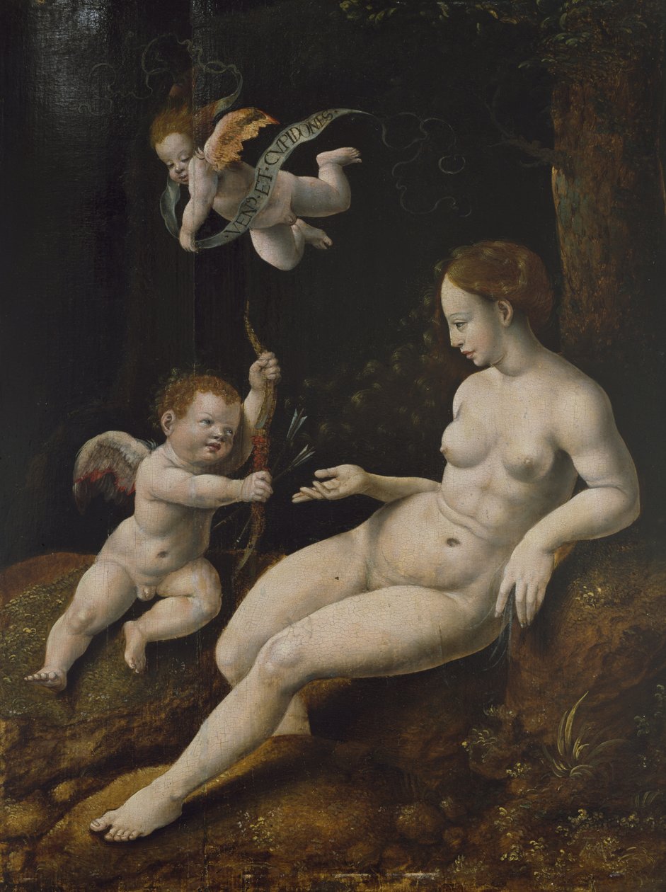 Vênus e Dois Cupidos, c.1528 (óleo no painel) de Jan van Scorel