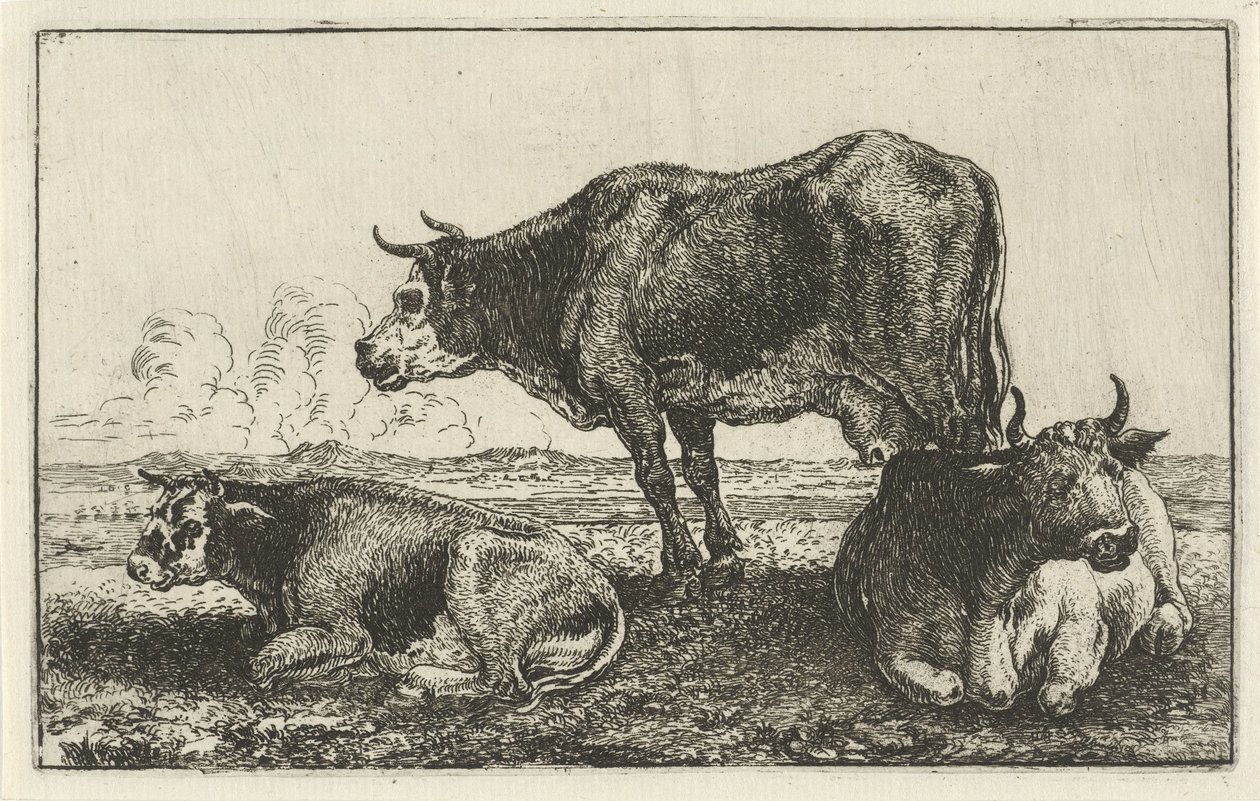 Três vacas Animais (título da série) Zoographiam (título da série) de Jan van den Hecke