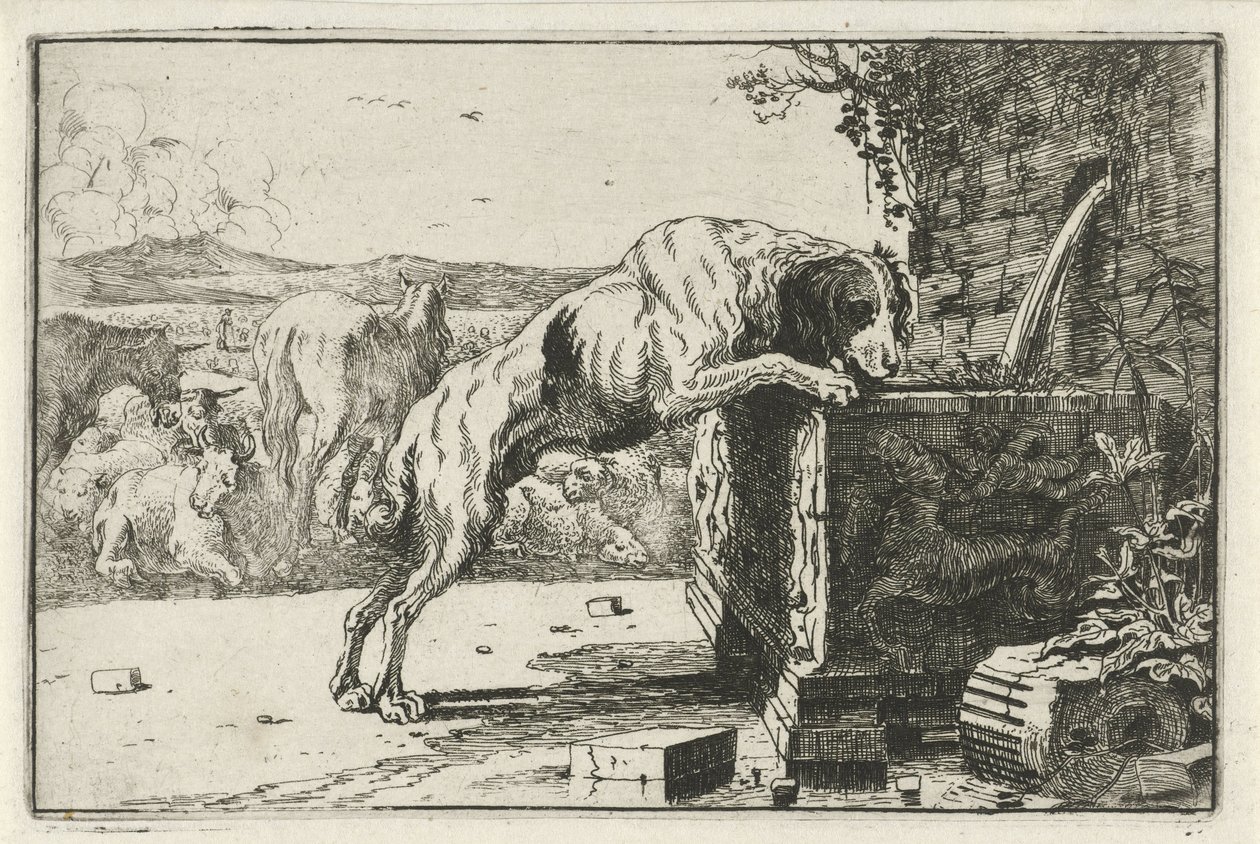 Cão em uma fonte Animais (título da série) Zoographiam (título da série) de Jan van den Hecke
