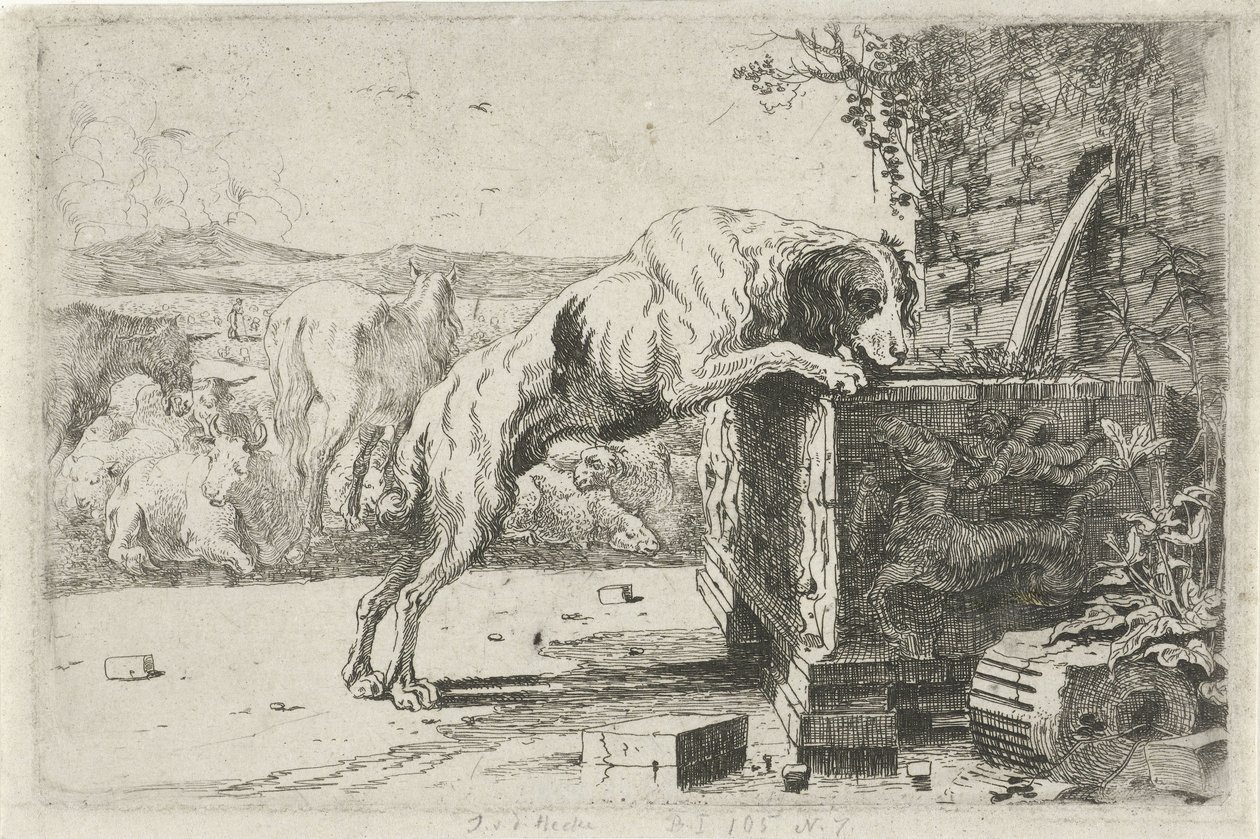 Cão numa fonte
Animais (título da série)
Zoographiam (título da série) de Jan van den Hecke