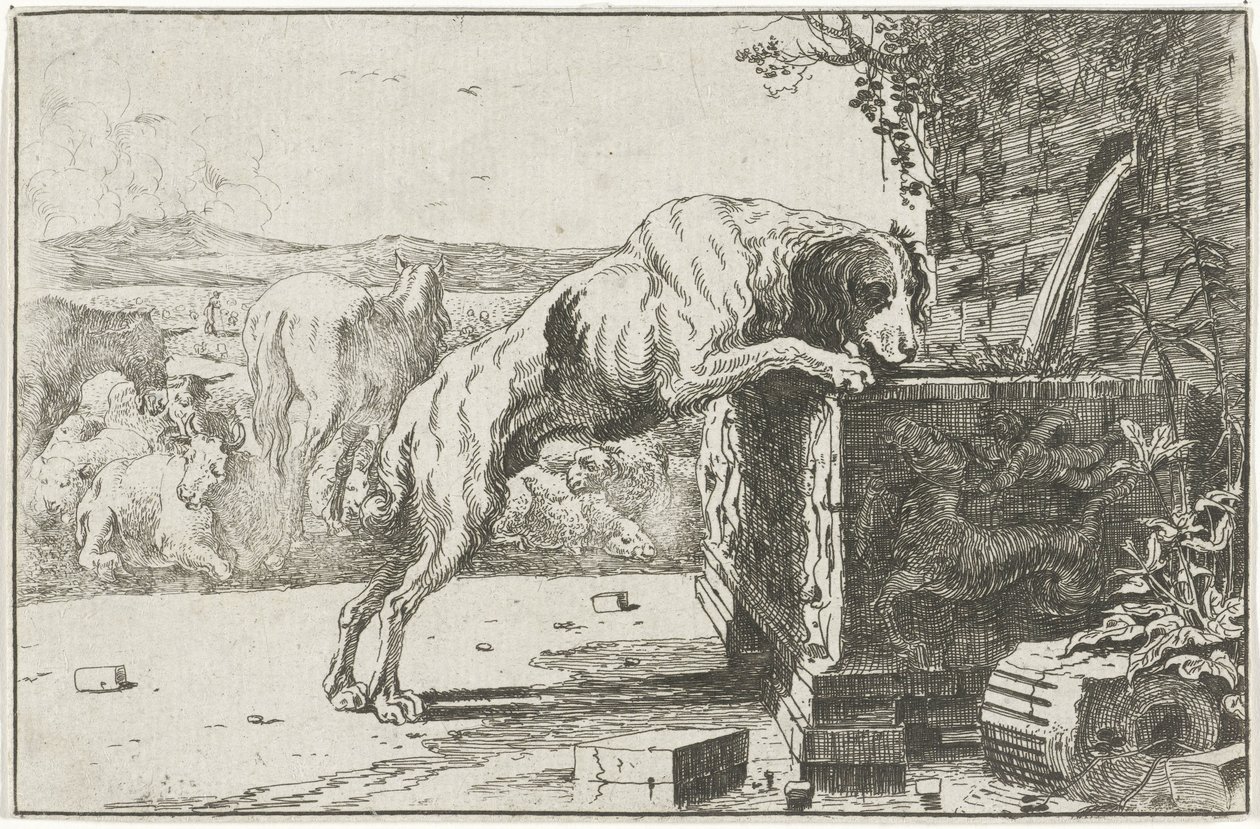 Cão em uma fonte Animais (título da série) Zoographiam (título da série) de Jan van den Hecke