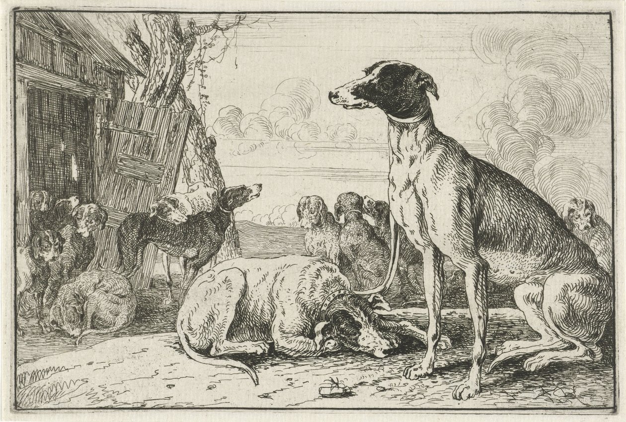 canil Animais (título da série) Zoographiam (título da série) de Jan van den Hecke