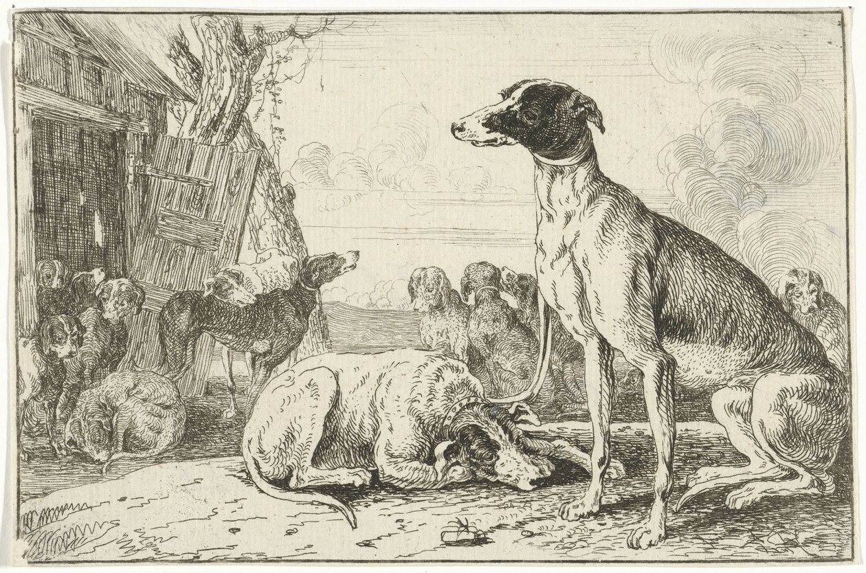 Hondenkennel
Dieren (título da série)
Zoographiam (título da série) de Jan van den Hecke