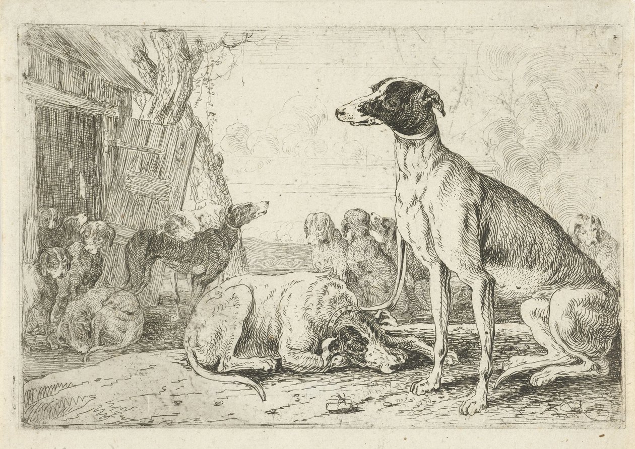 canil Animais (título da série) Zoographiam (título da série) de Jan van den Hecke