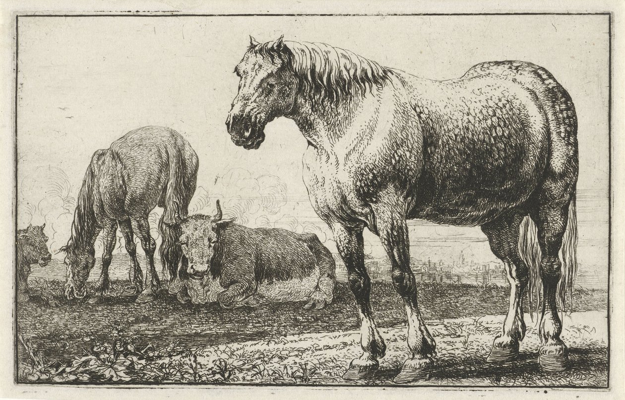 Cavalos e vacas Animais (título da série) Zoographiam (título da série) de Jan van den Hecke