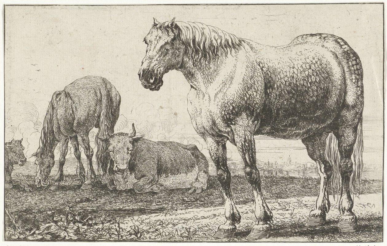 Cavalos e vacas
Animais (título da série)
Zoographiam (título da série) de Jan van den Hecke