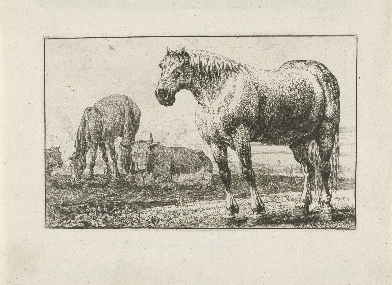 Cavalos e vacas Animais (título da série) Zoographiam (título da série) de Jan van den Hecke