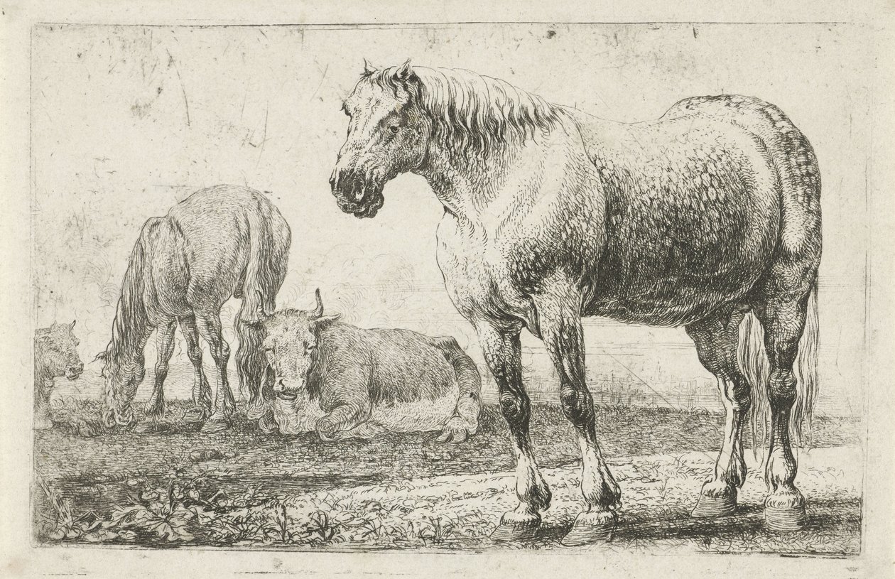 Cavalos e vacas
Animais (título da série)
Zoographiam (título da série) de Jan van den Hecke