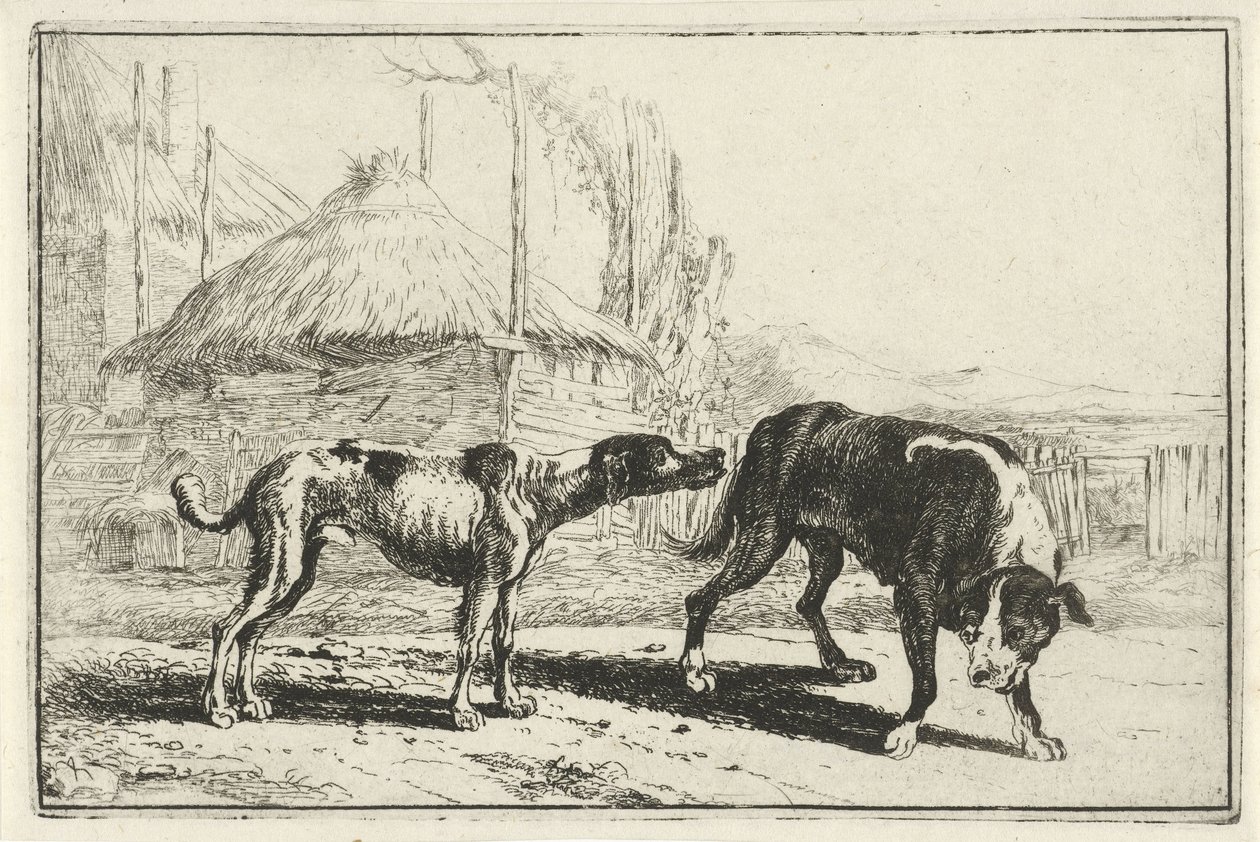 Masculino e feminino Animais (título da série) Zoographiam (título da série) de Jan van den Hecke