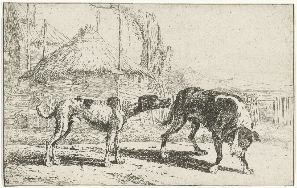 Reu en teef
Dieren (título da série)
Zoographiam (título da série) de Jan van den Hecke