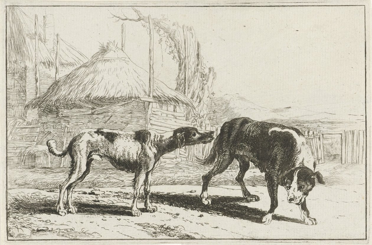 Masculino e feminino Animais (título da série) Zoographiam (título da série) de Jan van den Hecke
