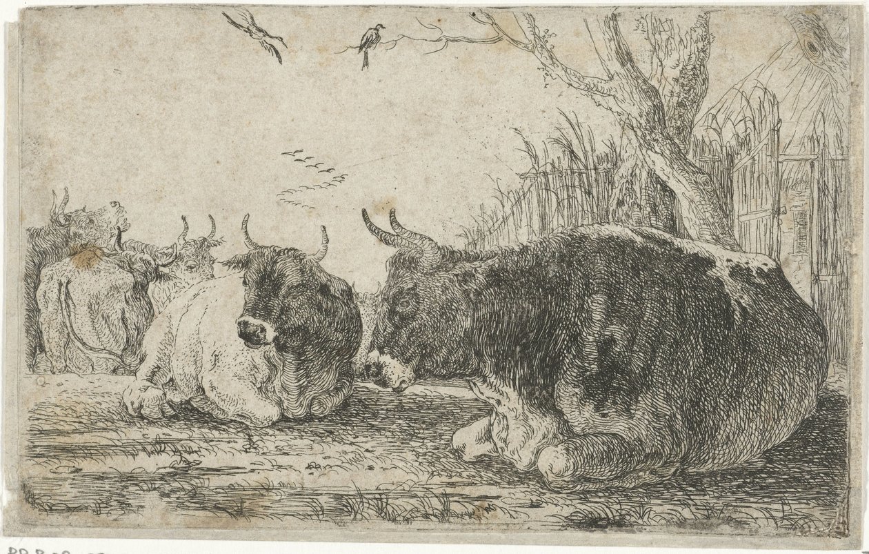 Vacas em repouso
Animais (título da série)
Zoographiam (título da série) de Jan van den Hecke