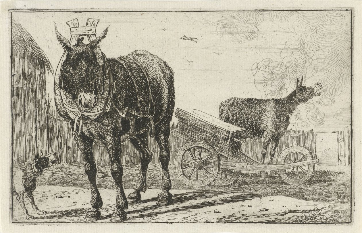 Twee ezels
Dieren (título da série)
Zoographiam (título da série) de Jan van den Hecke