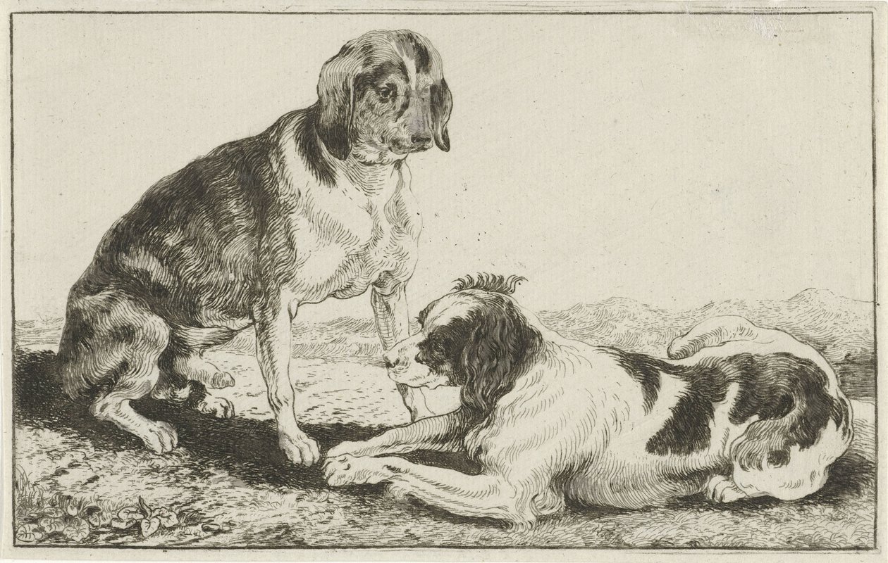 Dois cães em repouso
Animais (título da série)
Zoographiam (título da série) de Jan van den Hecke