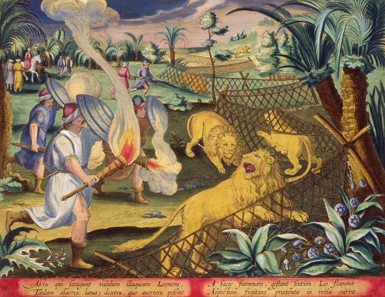 Uma caça romana, provavelmente no Norte de África Romano, placa 10 de, "Venationes Ferarum, Avium, Piscium" (De Caça: Bestas, Aves, Peixes) gravada por Jan Collaert (1566-1628) publicada por Phillipus Gallaeus de Amesterdão (gravura colorida à mão) de Jan van der (1523 1605) (after) Straet
