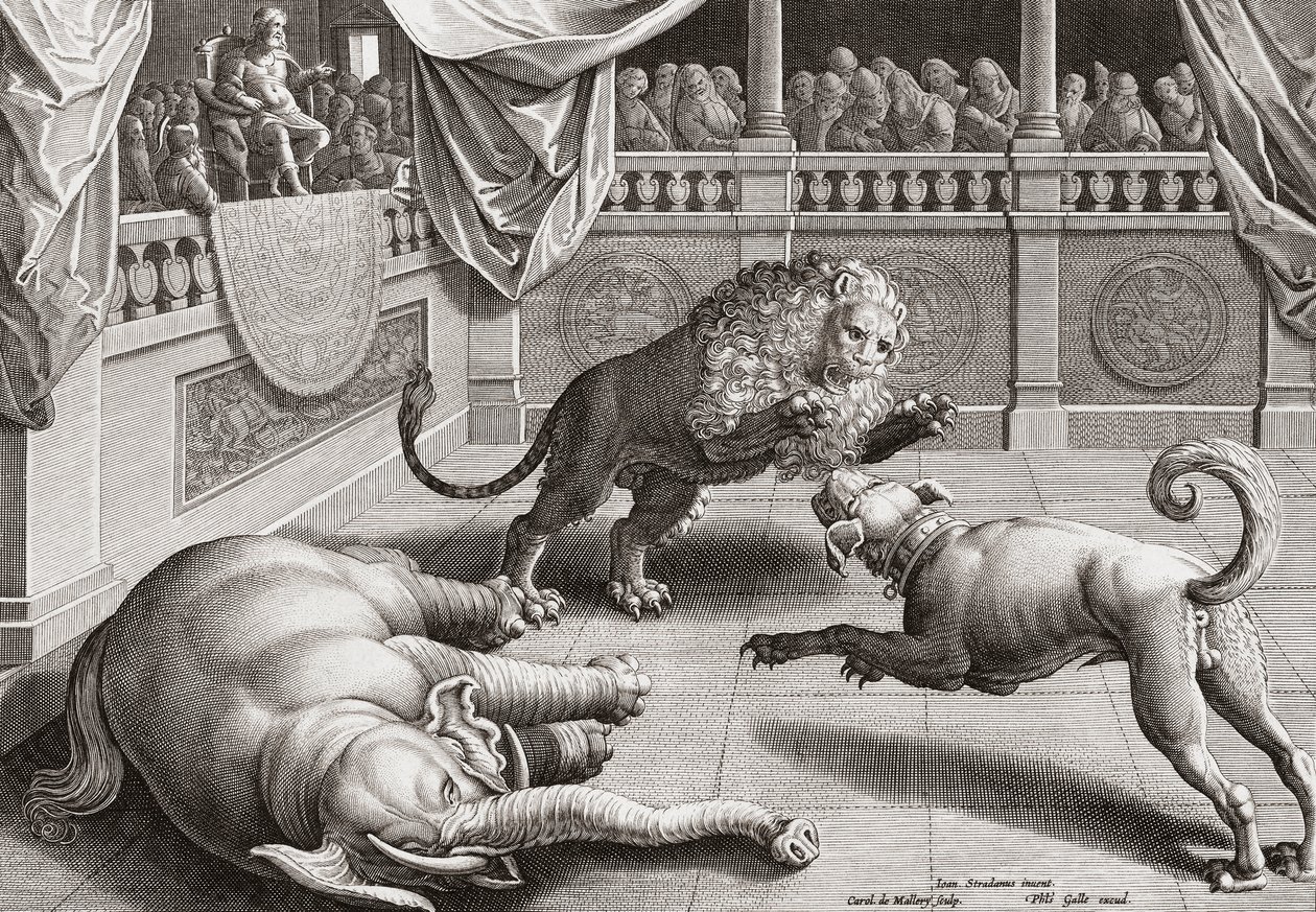 Alexandre, o Grande, assistindo animais luta, do século 16 de Jan van der 1523 1605 after Straet