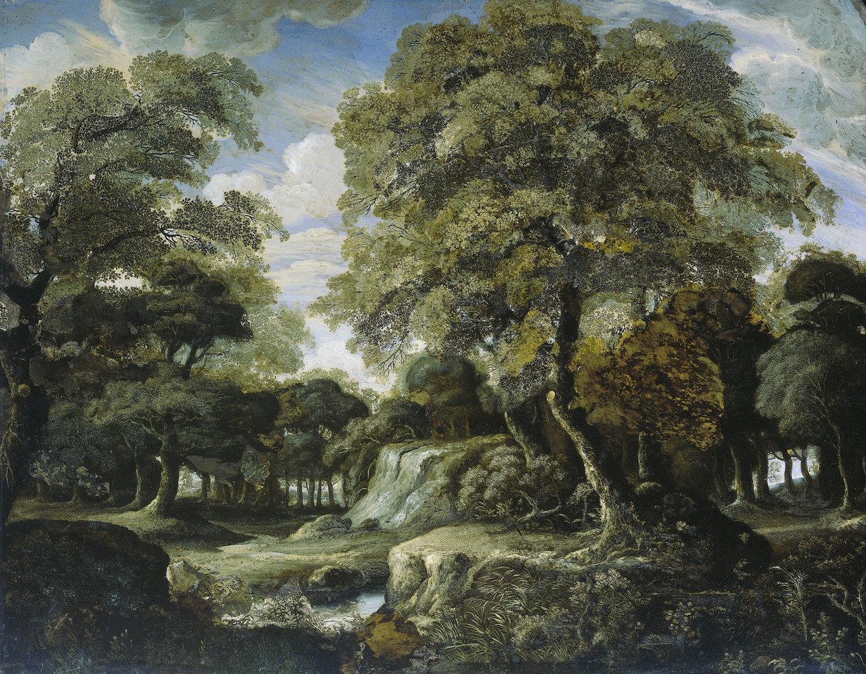 Vista no Bosque de Jan van der Heyden