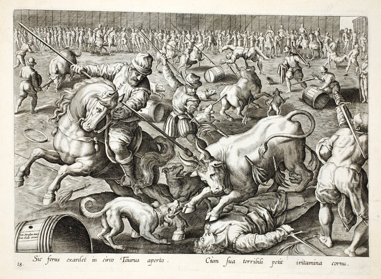 Uma tourada de massa em um recinto, ilustração de &39;Venationes, Ferarum, Avium, Piscium&39; (de caça: feras, pássaros, peixes), gravada por Jan Collaert (1566-1628), pub. por Phillipus Gallaeus, Amst de Jan van der Straet