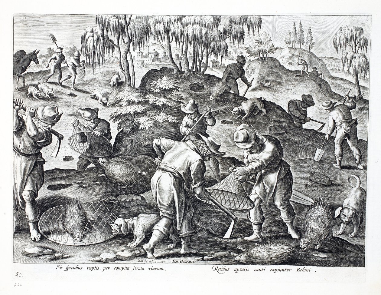 Escavando e capturando Porcupines, placa 54, ilustração de &39;Venationes, Ferarum, Avium, Piscium&39; (de caça: feras, pássaros, peixes), gravada por Jan Collaert (1566-1628), pub. por Phillipus de Jan van der Straet