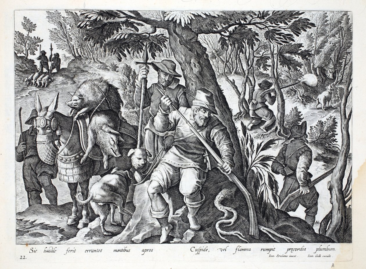 Caçadores usam lanças ou armas carregadas com chumbo para caçar javalis de montanha, ilustração de &39;Venationes, Ferarum, Avium, Piscium&39; (de caça: feras, pássaros, peixes), gravada por Jan Collaert (1566-1628), de Jan van der Straet