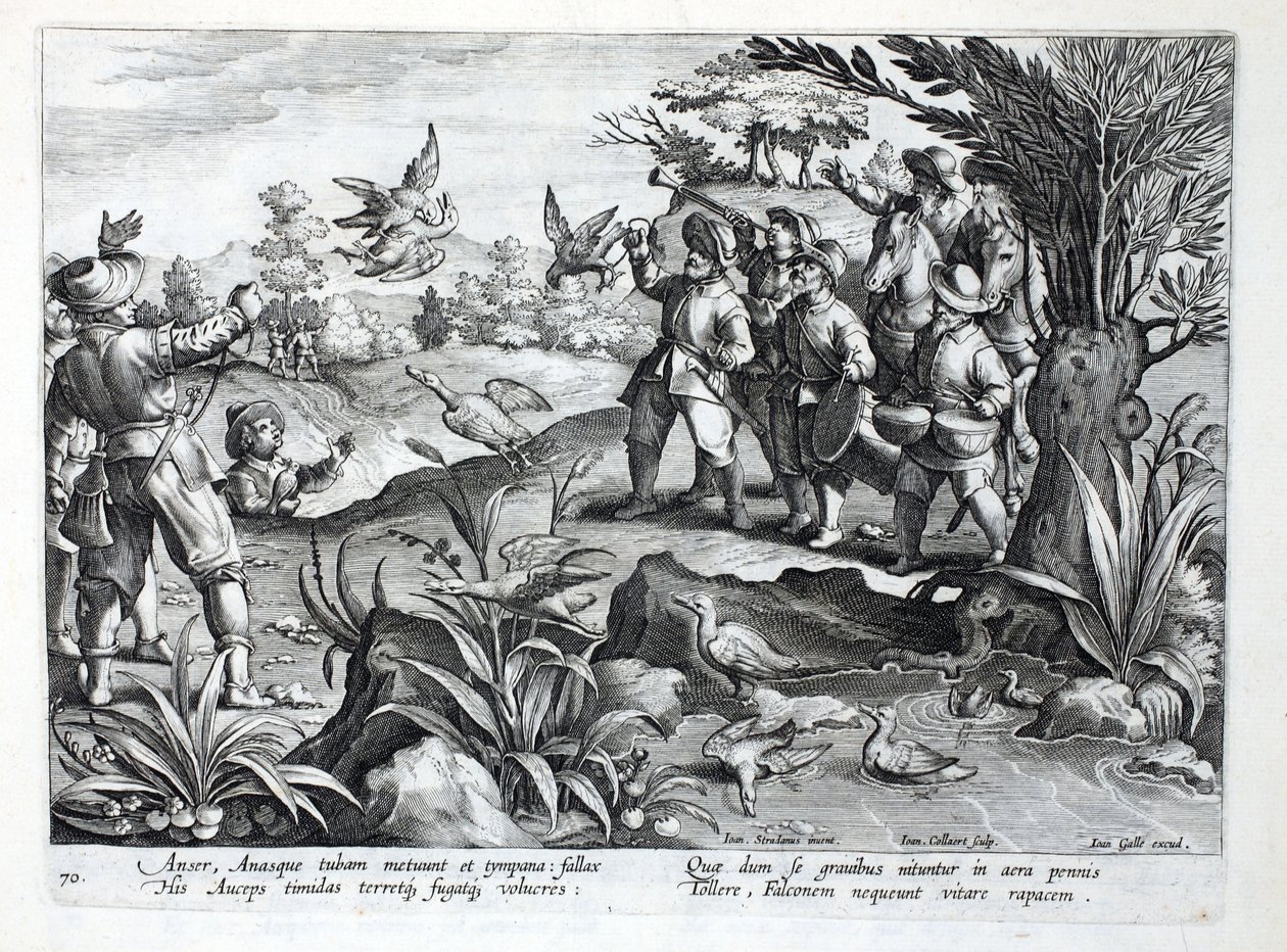 Caçadores usando Falcons para caçar gansos, ilustração de &39;Venationes, Ferarum, Avium, Piscium&39; (de caça: feras, pássaros, peixes), gravada por Jan Collaert (1566-1628), pub. por Phillipus Gallaeus, A de Jan van der Straet