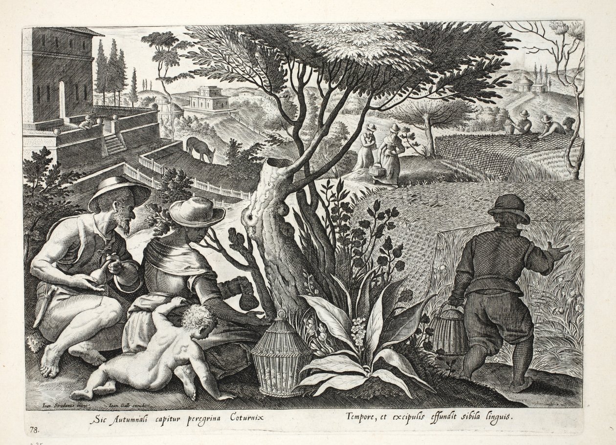 Caçando codorniz, ilustração de &39;Venationes, Ferarum, Avium, Piscium&39; (da caça: Bestas selvagens, pássaros, peixes), gravada por Jan Collaert (1566-1628), bar. por Phillipus Gallaeus, Amsterdã de Jan van der Straet