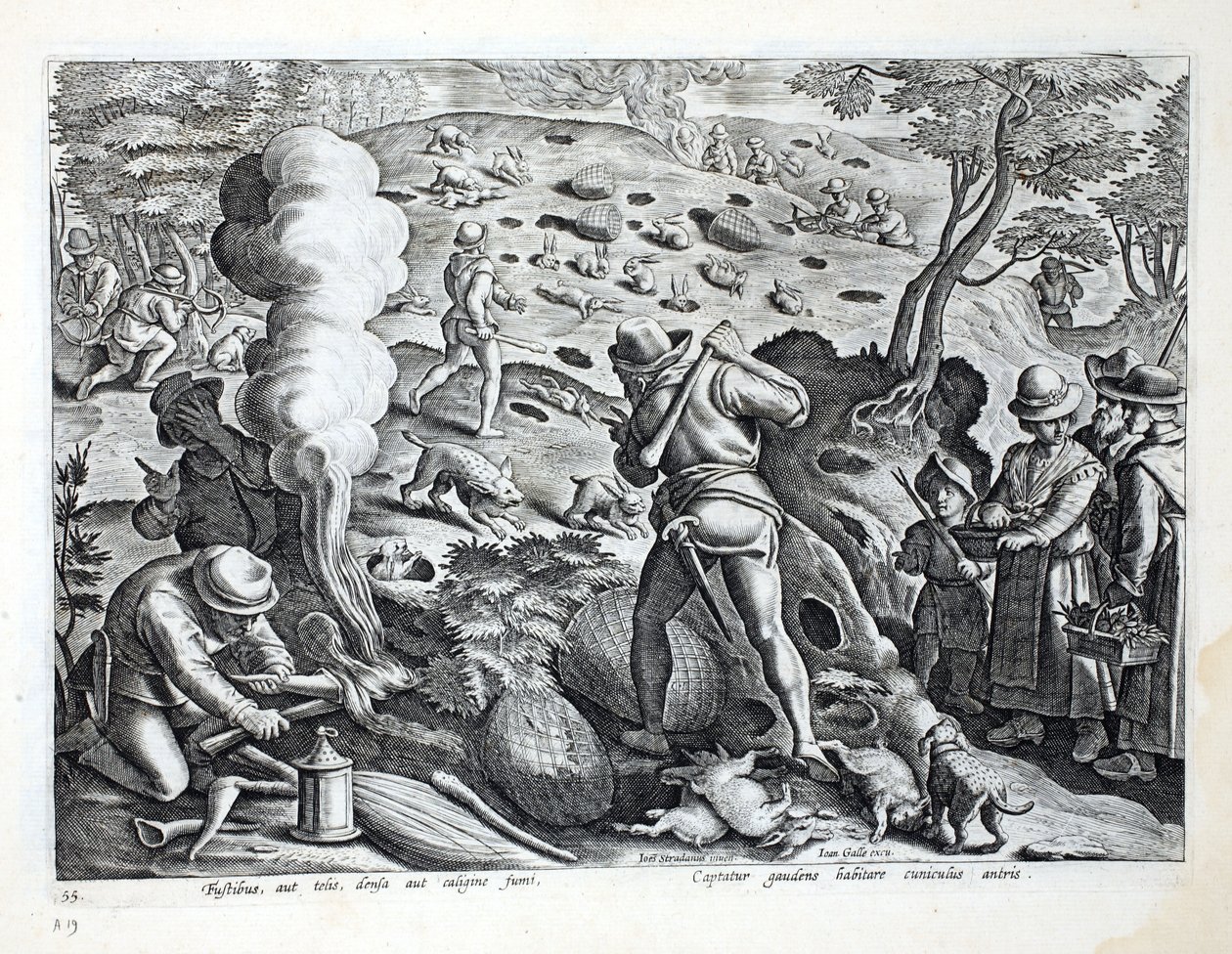 Caçando coelhos, ilustração de &39;Venationes, Ferarum, Avium, Piscium&39; (da caça: Bestas selvagens, pássaros, peixes), gravada por Jan Collaert (1566-1628), bar. por Phillipus Gallaeus, Amsterdã de Jan van der Straet
