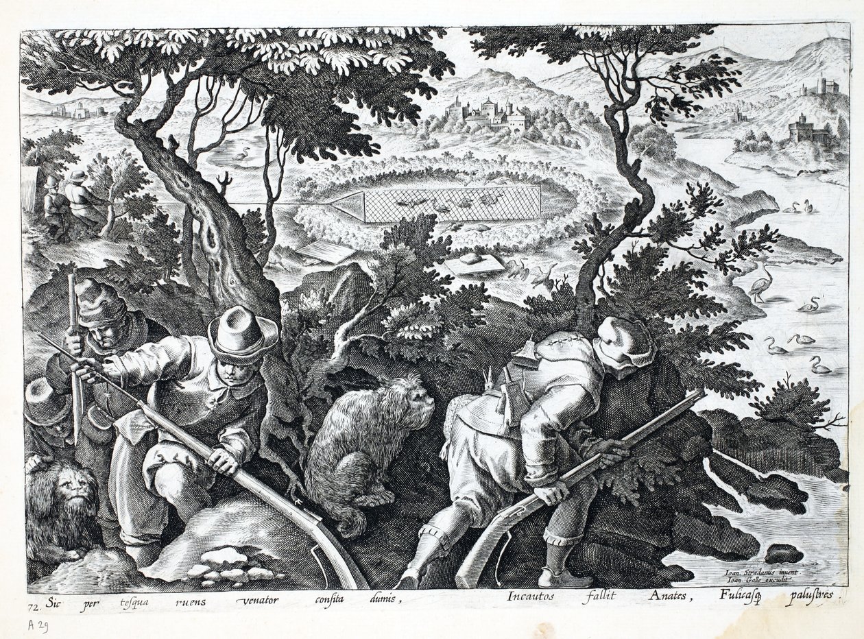 Caça para patos, ilustração de &39;Venationes, Ferarum, Avium, Piscium&39; (de caça: feras, pássaros, peixes), gravada por Jan Collaert (1566-1628), pub. por Phillipus Gallaeus, Amsterdã (engravin de Jan van der Straet