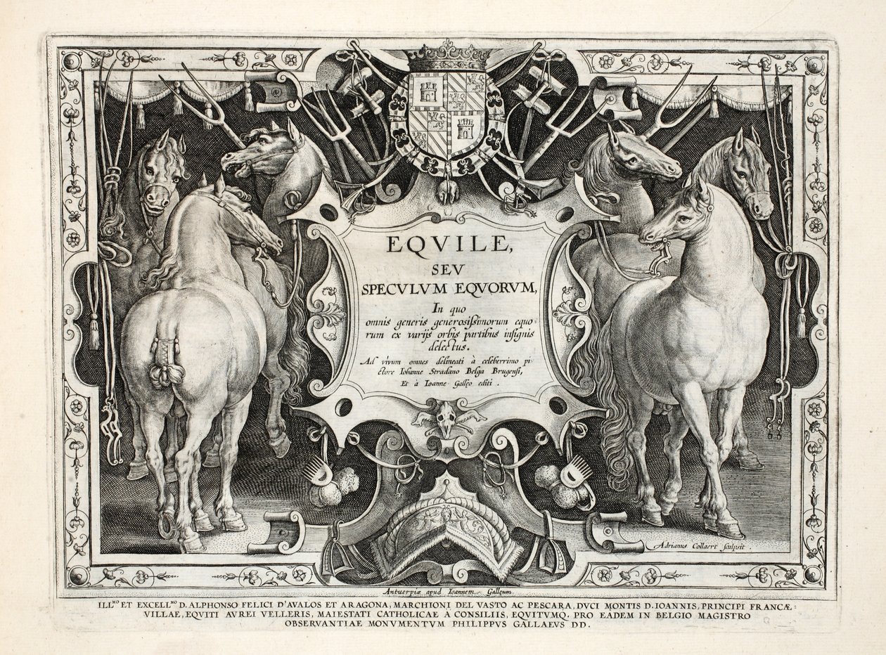 Ilustração de animais selvagens, pássaros, peixes &39;(de animais de caça selvagens, pássaros, peixes), gravado por Jan Collaert (1566-1628), pub. por Philip Gallaeus Amsterdam de Jan van der Straet