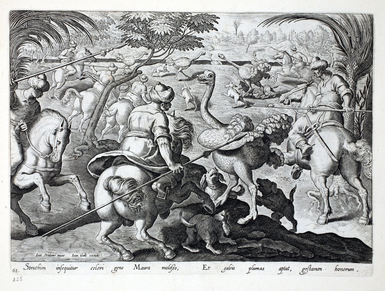 Mouros à caça de cavalos Avestruzes, placa 62, ilustração de &39;Venationes, Ferarum, Avium, Piscium&39; (da caça: Bestas selvagens, pássaros, peixes), gravada por Jan Collaert (1566-1628), bar. por Phillipus de Jan van der Straet