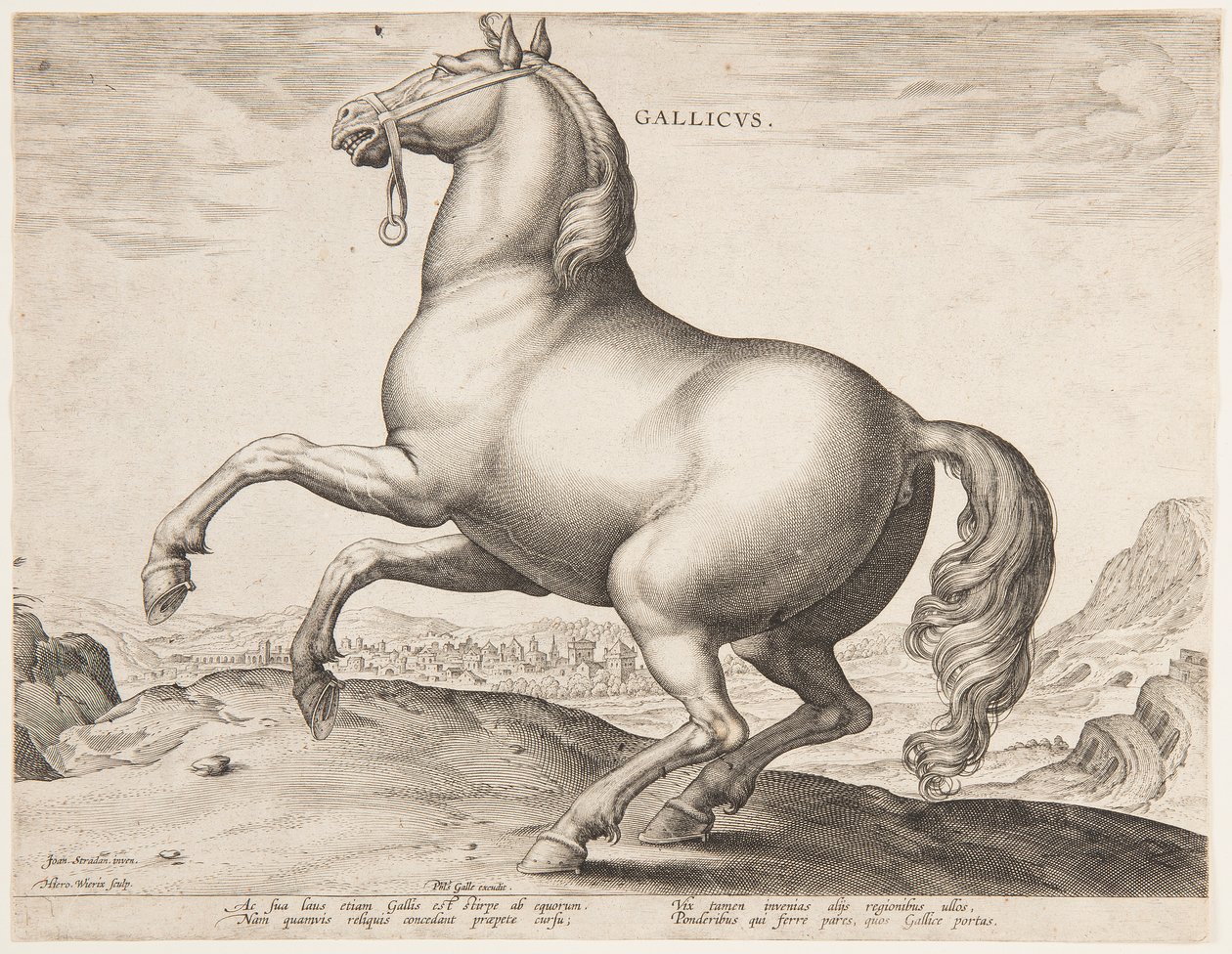 Um cavalo francês, do primeiro conjunto de "Equile Joannis Austriaci" de Jan van der Straet, called Stradanus