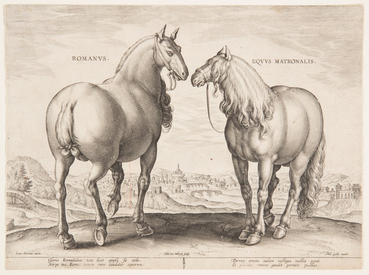 Um Cavalo Romano, do primeiro conjunto de "Equile Joannis Austriaci" de Jan van der Straet, called Stradanus