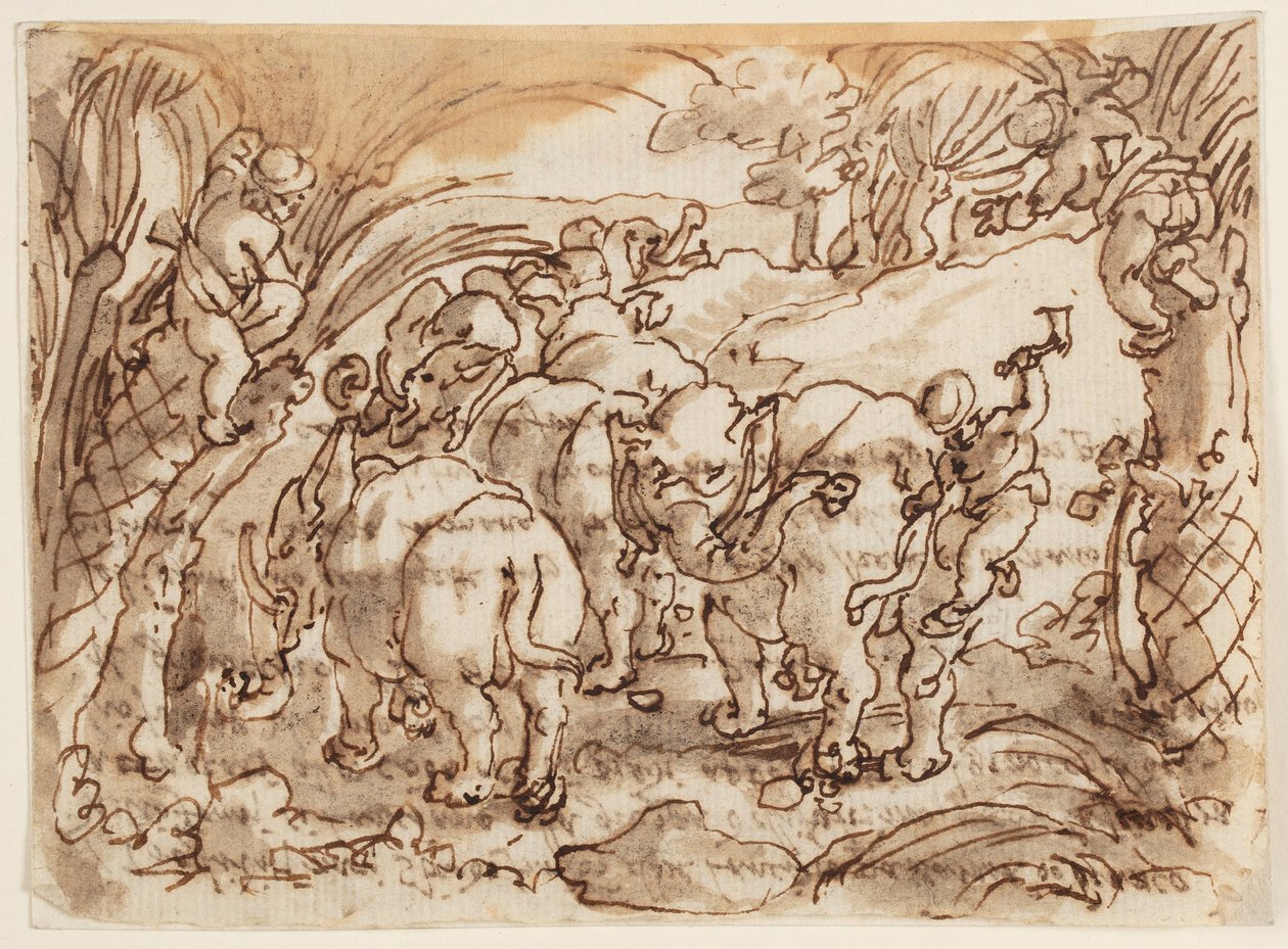 Reto: Elefantes Caçados por Trogloditas [Homens das Cavernas]; Verso: inscrição relativa à História Natural de Plínio, o Velho, Livro 8, cap.8 de Jan van der Straet, called Stradanus