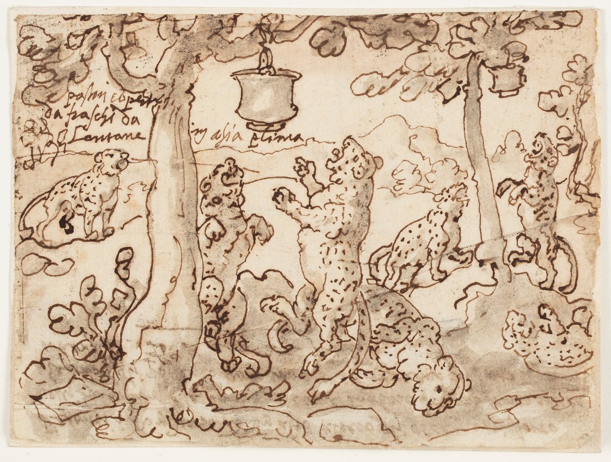 A Armadilha da Pantera de Jan van der Straet, called Stradanus