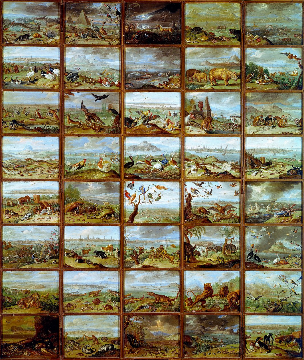 Animais Tabela com os compartimentos correspondentes às diferentes espécies animais. Pintura de Jan Van Kessel (1626-1679) Século XVII Madrid, Museu do Prado de Jan van the Elder Kessel