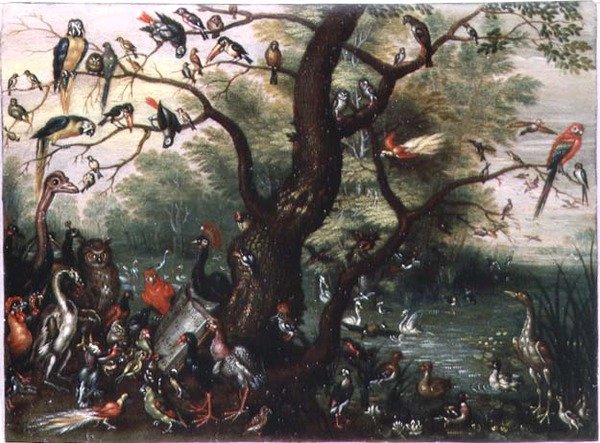 Concerto de Pássaros (óleo sobre cobre) de Jan van the Elder Kessel