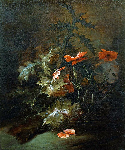 Cardos e Papoulas (óleo sobre tela) de Jan van the Elder Kessel