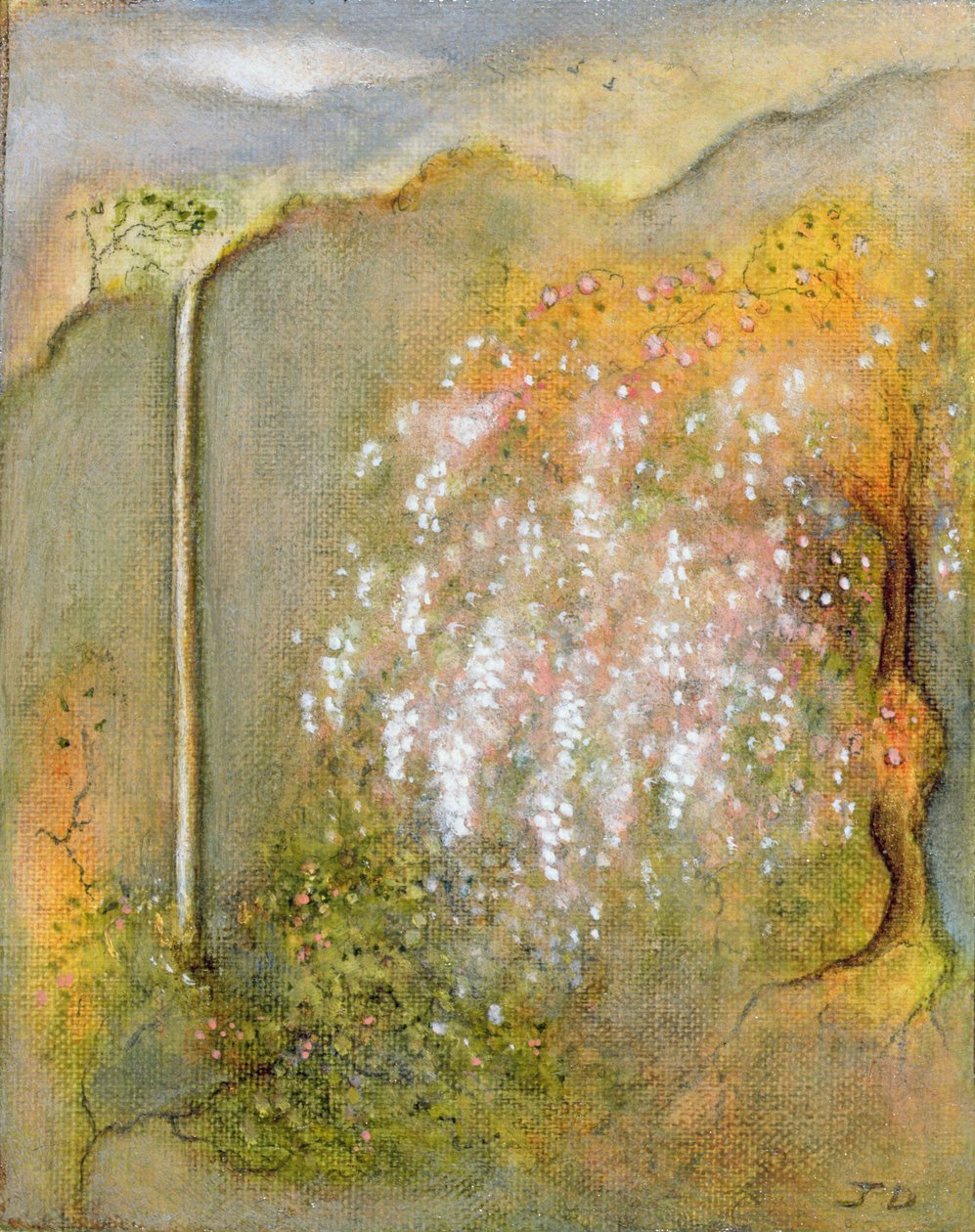 Whisteria Branco, 2001 de Jane Deakin