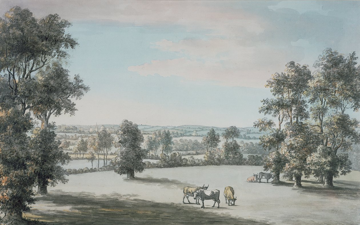 Oxford do sul, 1786 (caneta e tinta e wc no papel) de Jane Mary Oglander