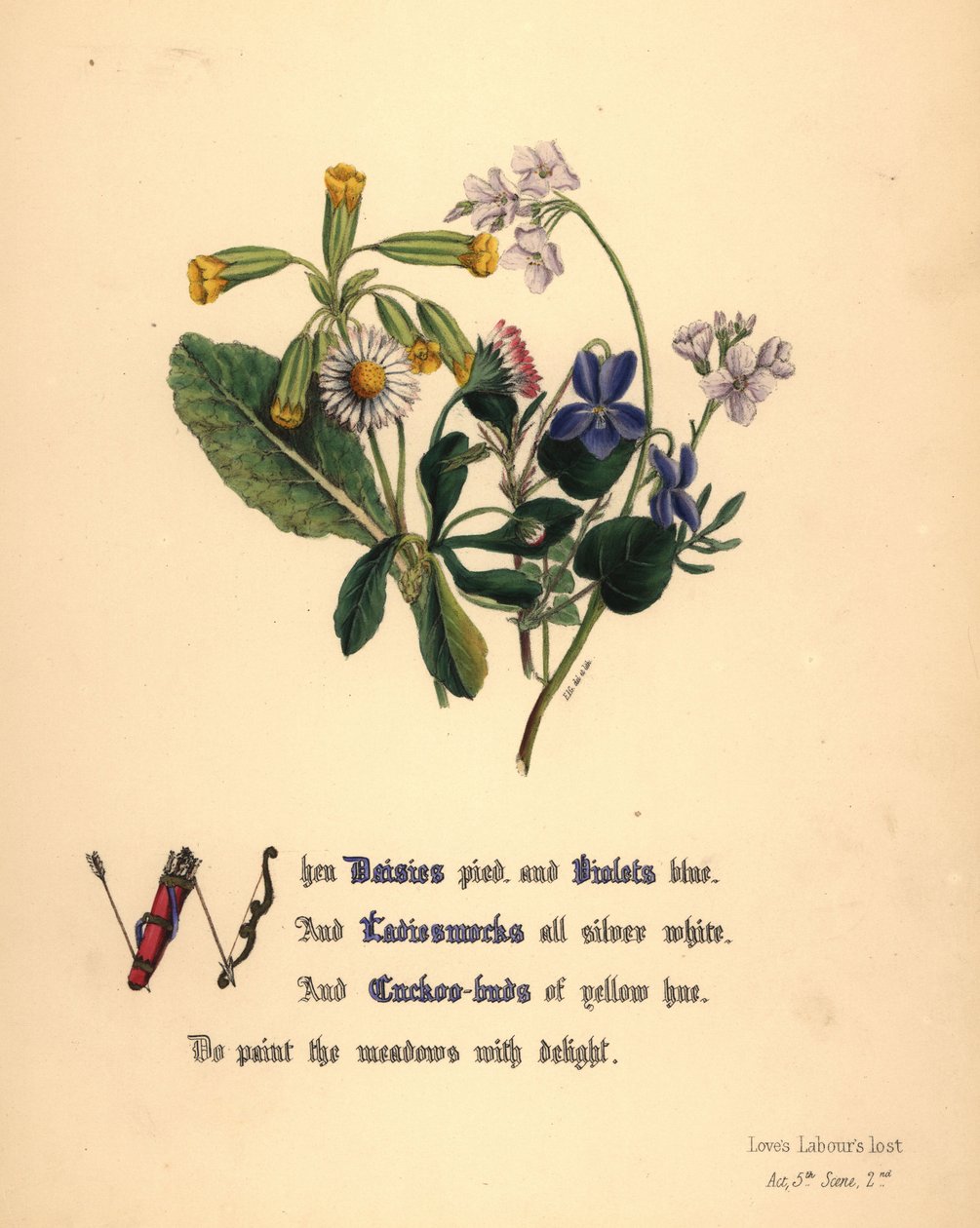Margaridas, violetas, malmequeres e botões de cuco de Jane Elizabeth Giraud