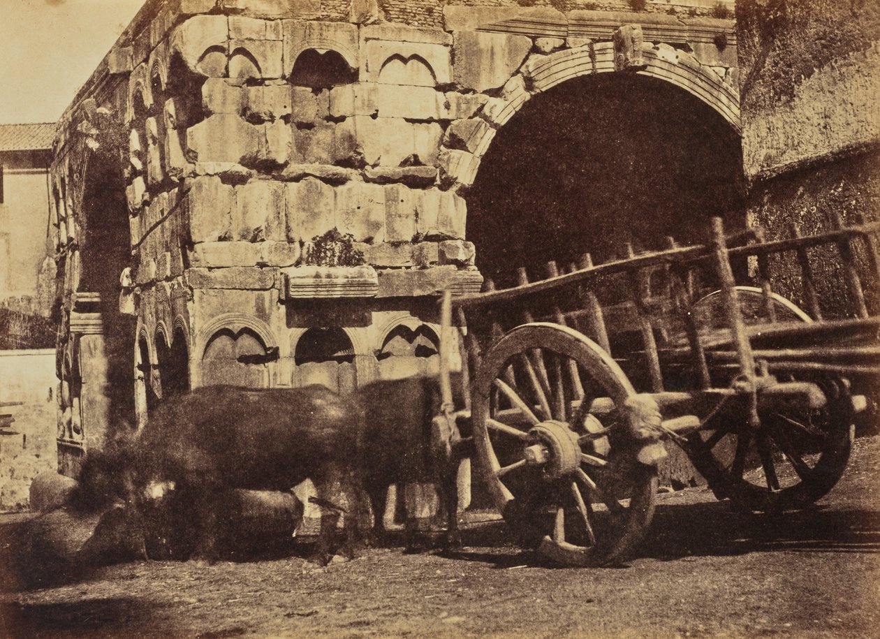 Carrinho de Búfalo, Roma de Jane Martha St. John