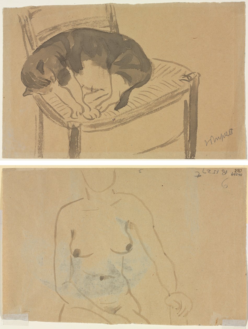 Gato Adormecido (reto) Torso de uma Mulher Nua (verso) de Jane Poupelet