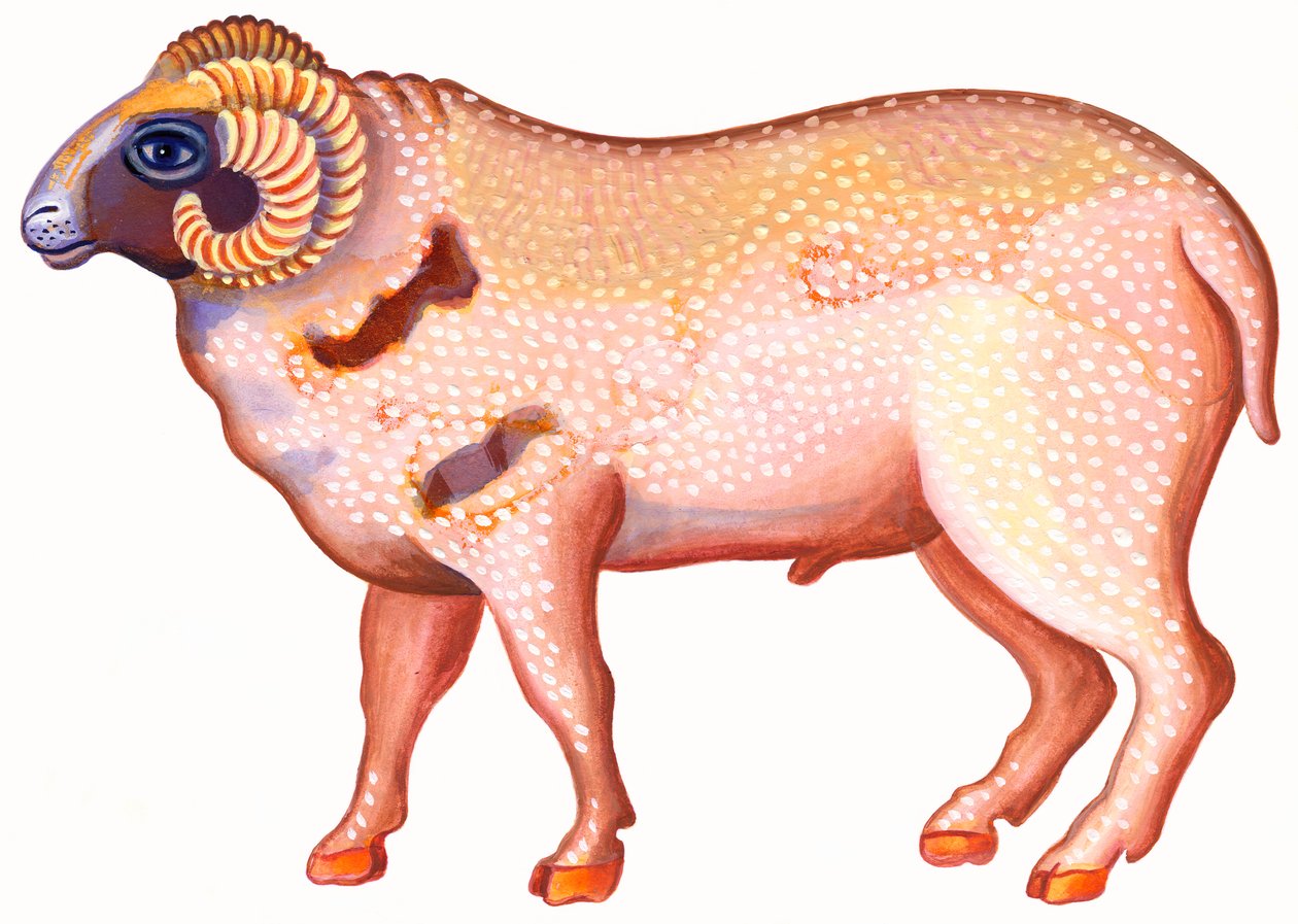 Aries the Ram, 1996, (tinta e guache) de Jane Tattersfield