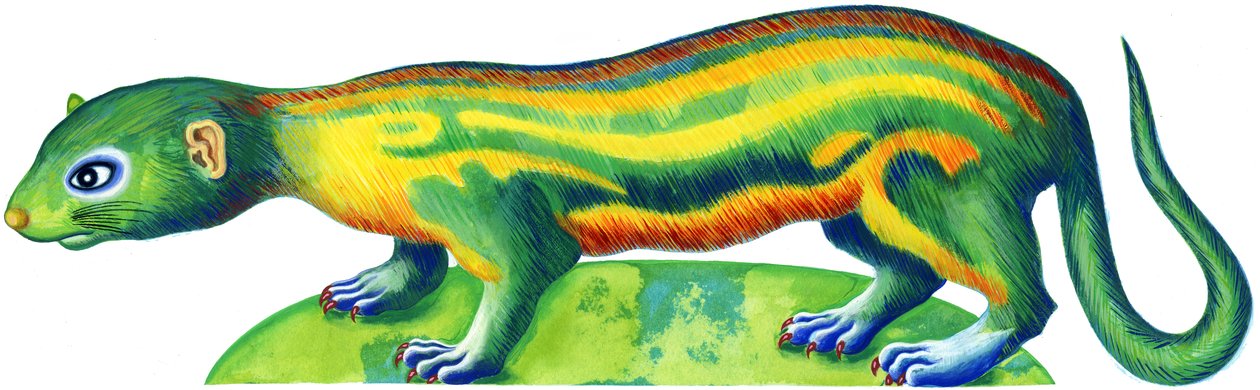 Furão, 1996, (tinta e guache) de Jane Tattersfield