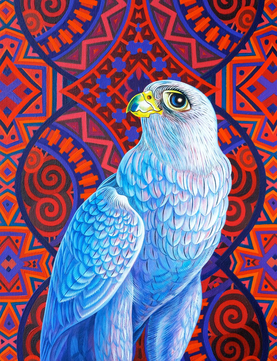 Falcão cinzento, 2017, de Jane Tattersfield