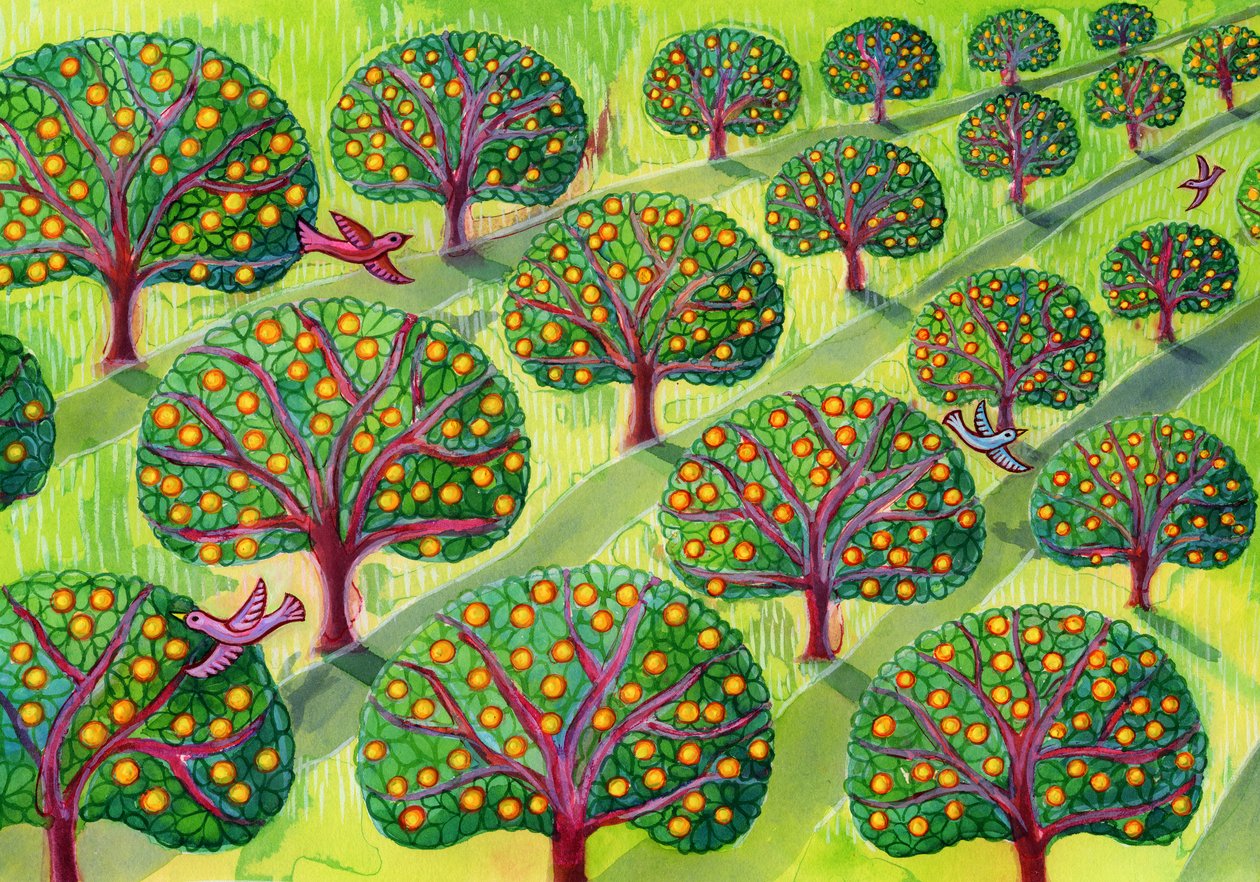 Pomar de Jane Tattersfield